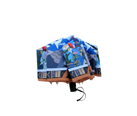 Зонт Кавказ Лермонтова 13.png